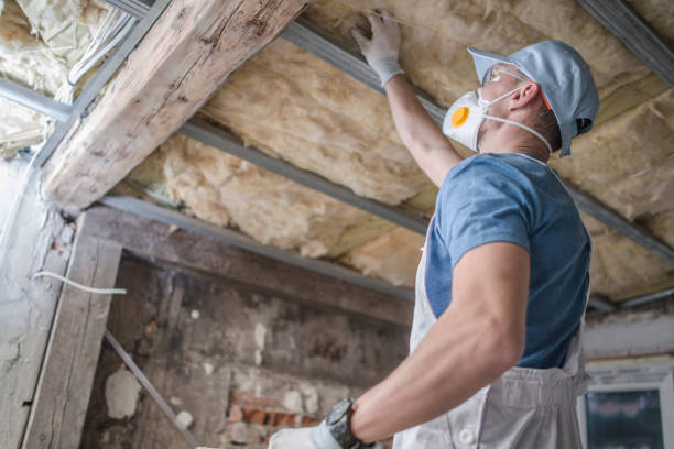 Best Insulation Maintenance and Repair in Amherst, WI