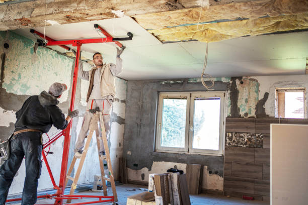 Best Eco-Friendly Insulation in Amherst, WI