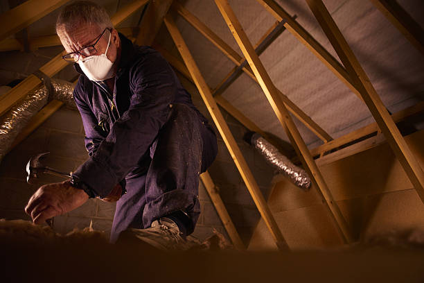 Best Cellulose Insulation in Amherst, WI
